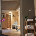 villa elyane colmar sauna partie vestiaire