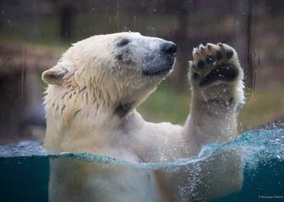 Zoo de Mulhouse