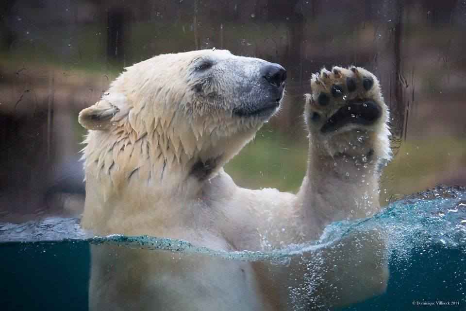 Zoo de Mulhouse